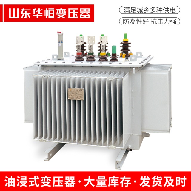 S13-10000/35明光明光明光电力变压器